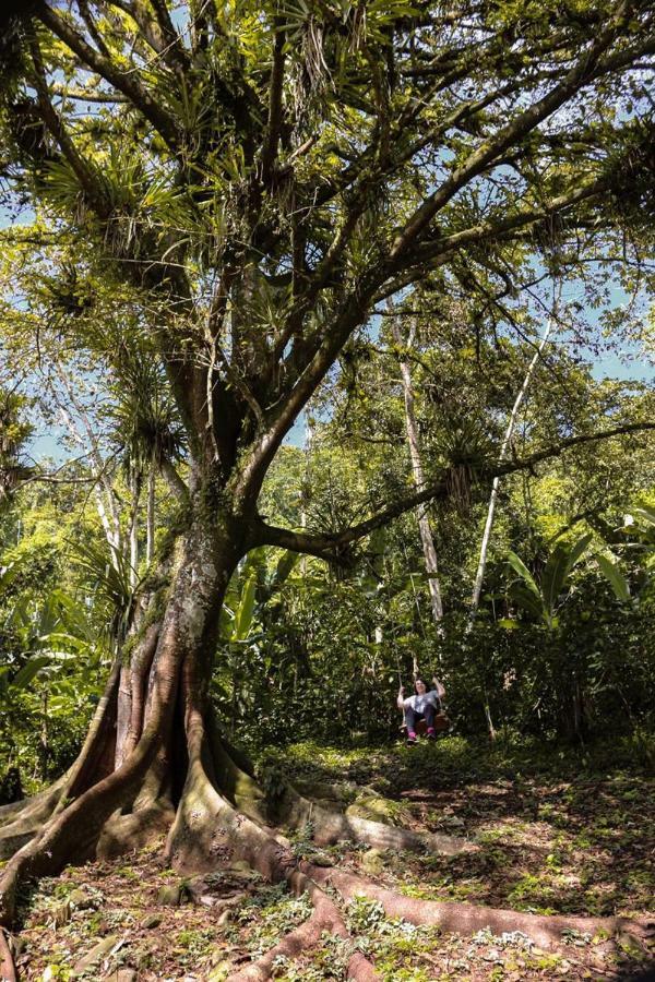 Chale Suico - Chales Belo Monte - Sitio Belo Monte Pacoti Dış mekan fotoğraf